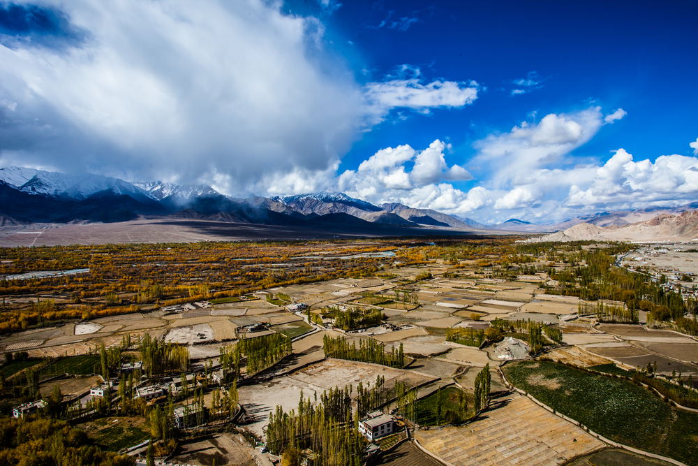 Ladakh agriculture lands durring summer